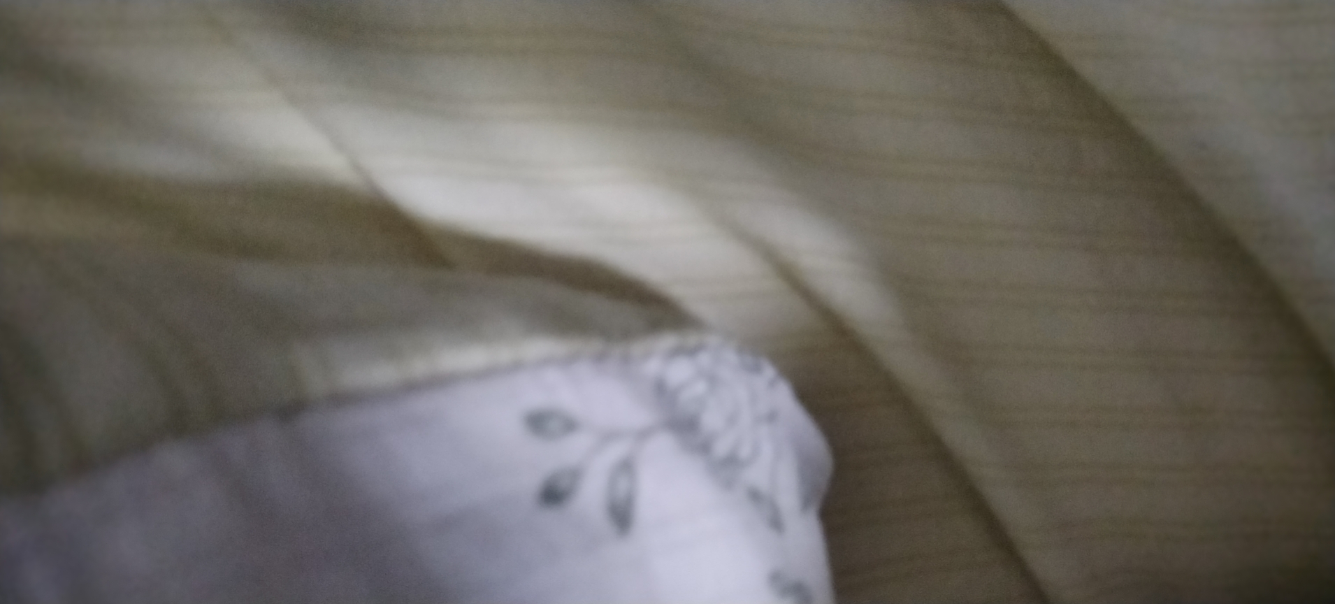 燕阿姨照片