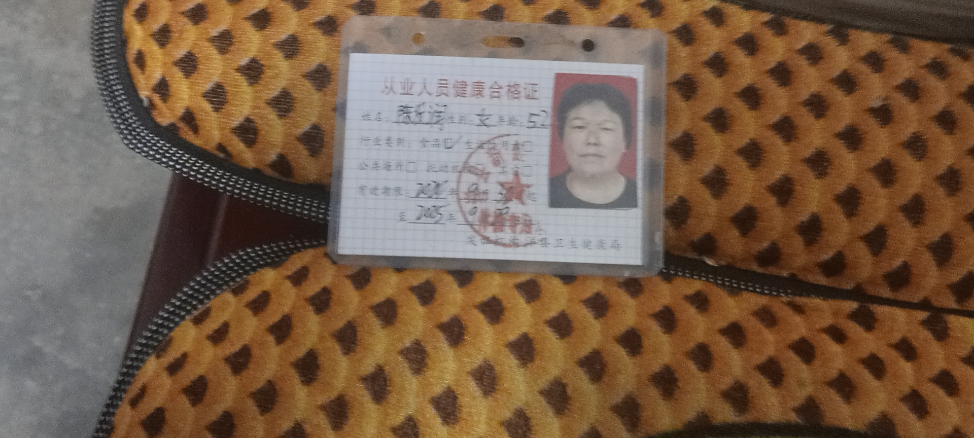陈阿姨照片