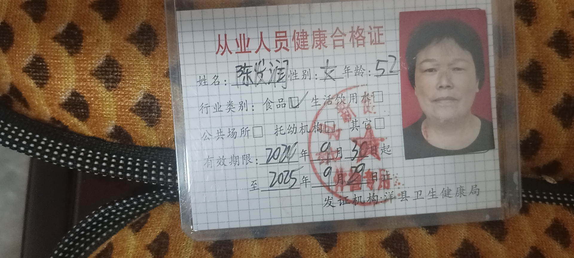 陈阿姨照片