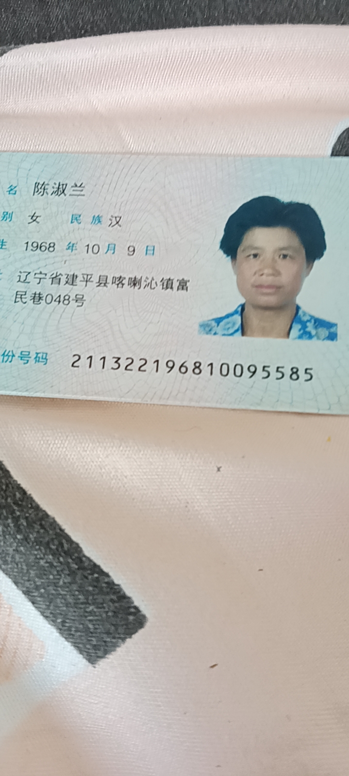 陈阿姨照片