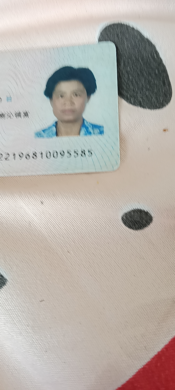 陈阿姨照片