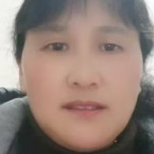 阿姨资料照片