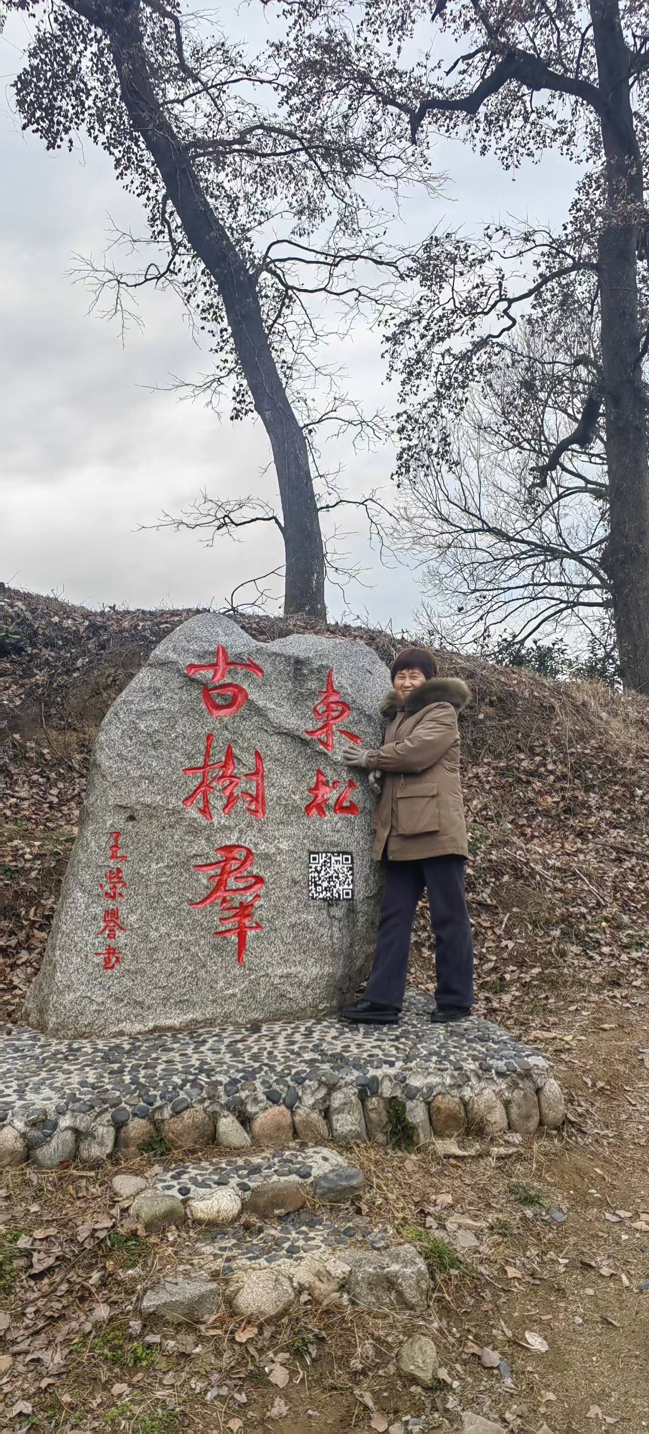 桂阿姨照片
