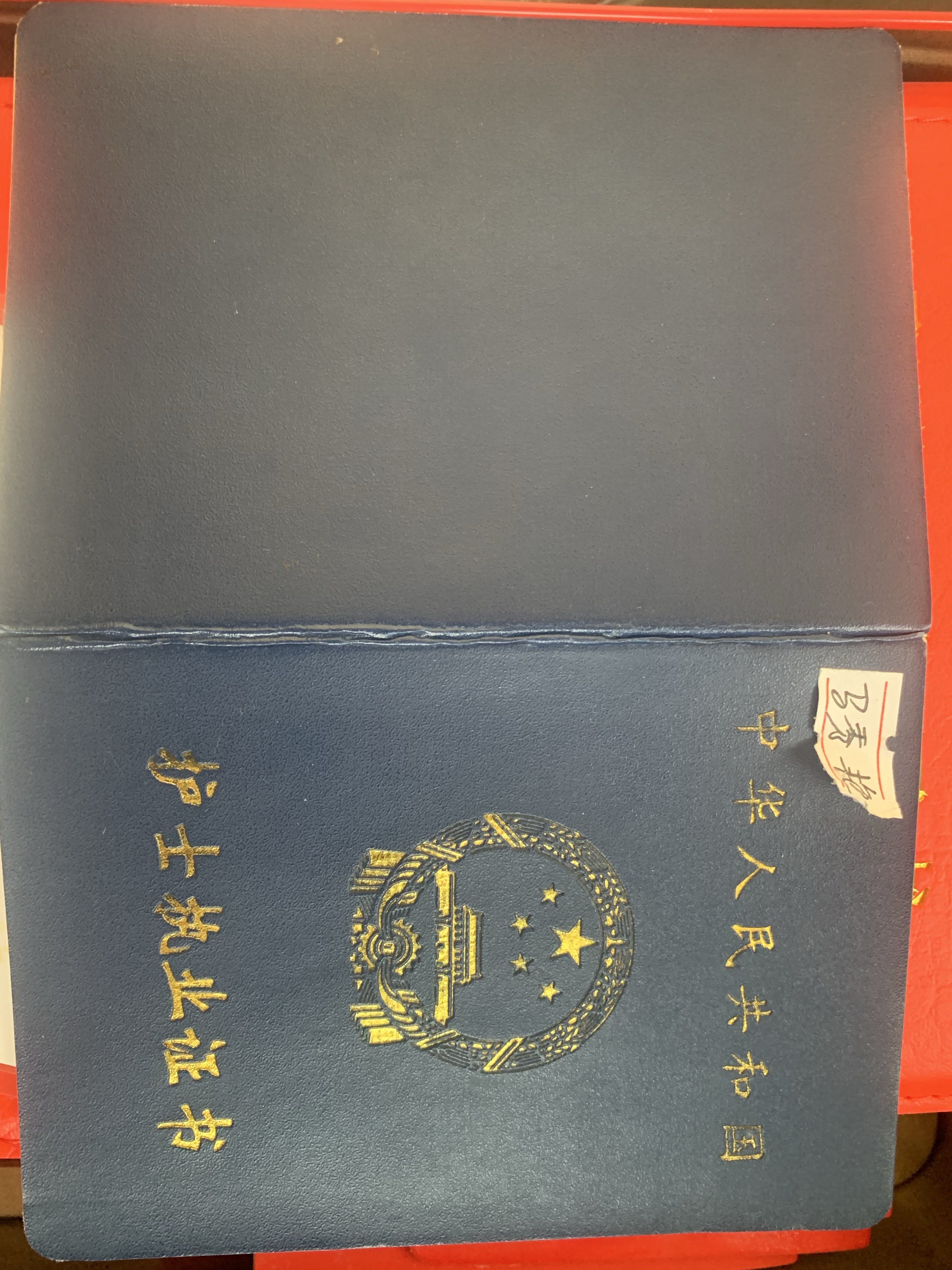 马阿姨照片