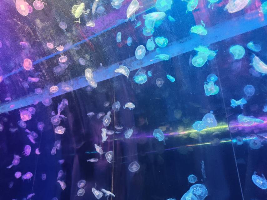 闫阿姨照片
