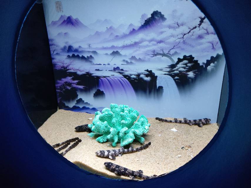 闫阿姨照片