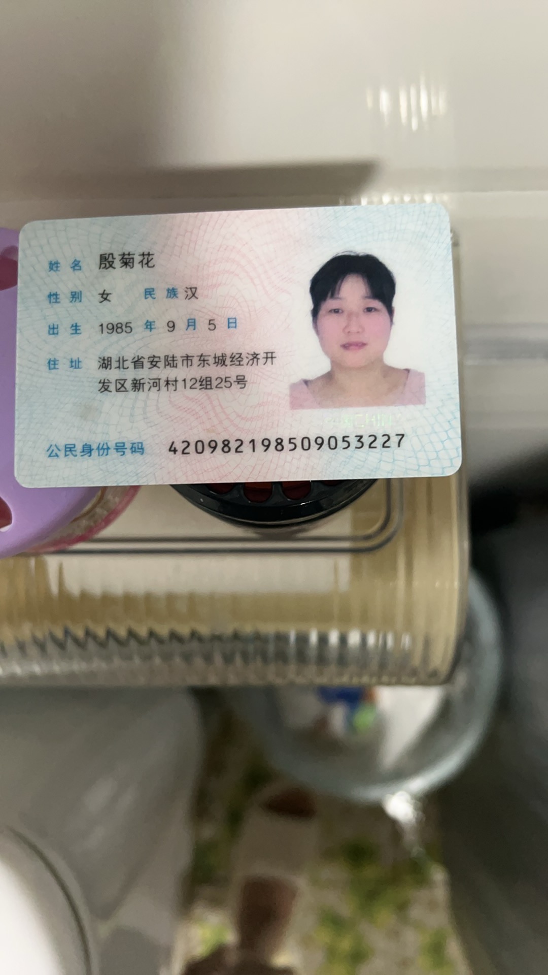 殷阿姨照片