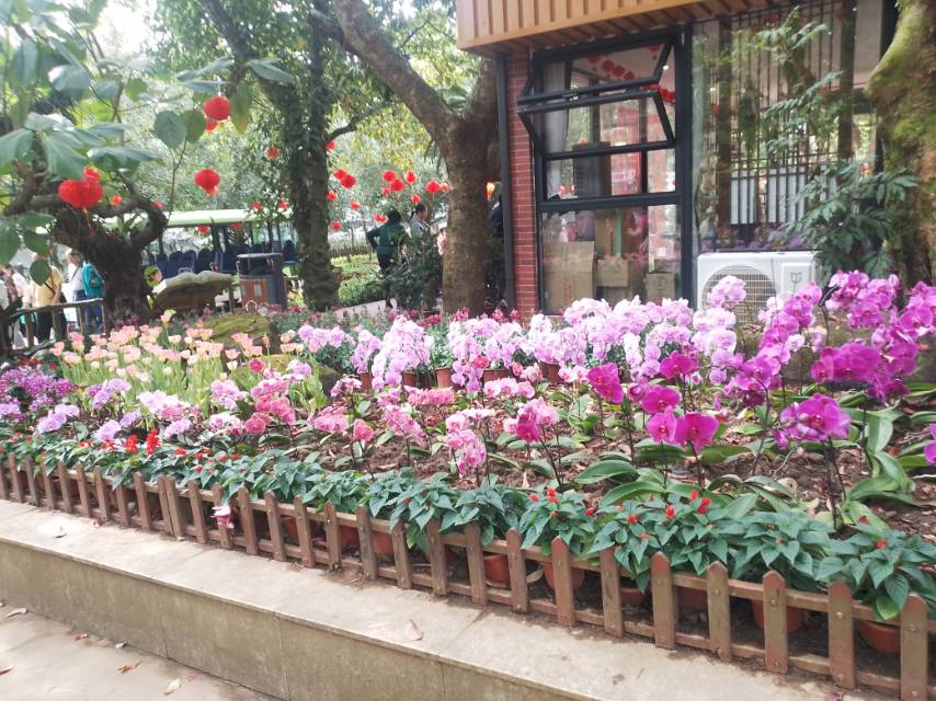 李阿姨照片
