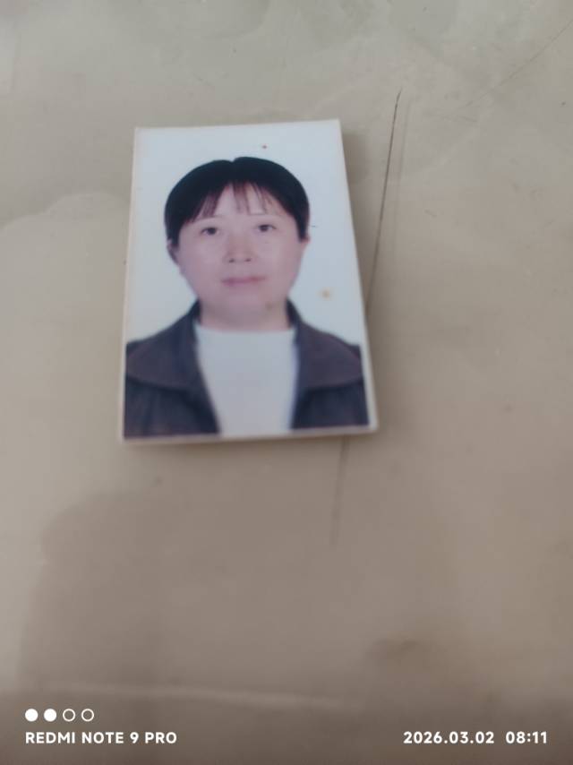 阿姨资料照片