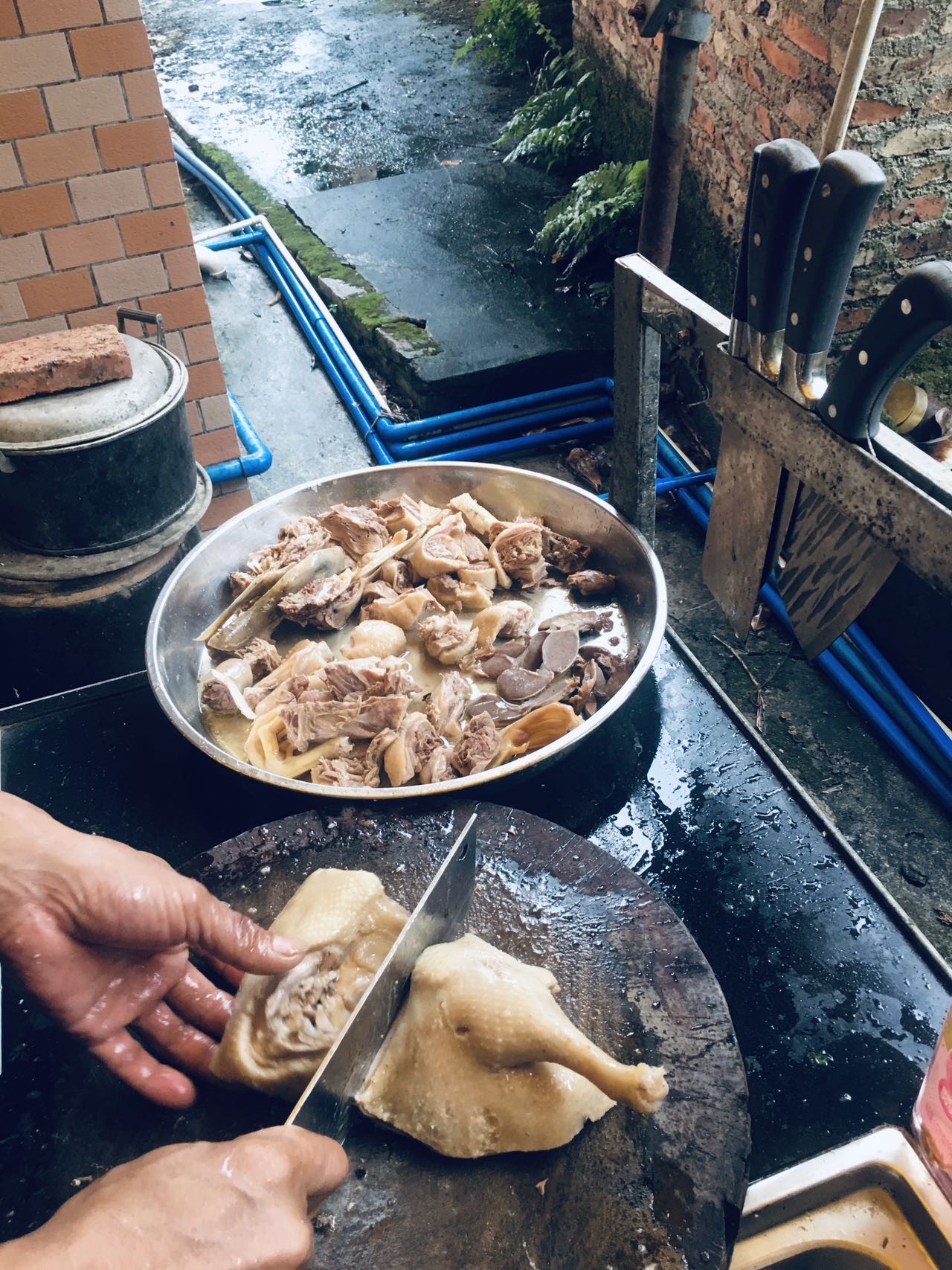 刘阿姨照片