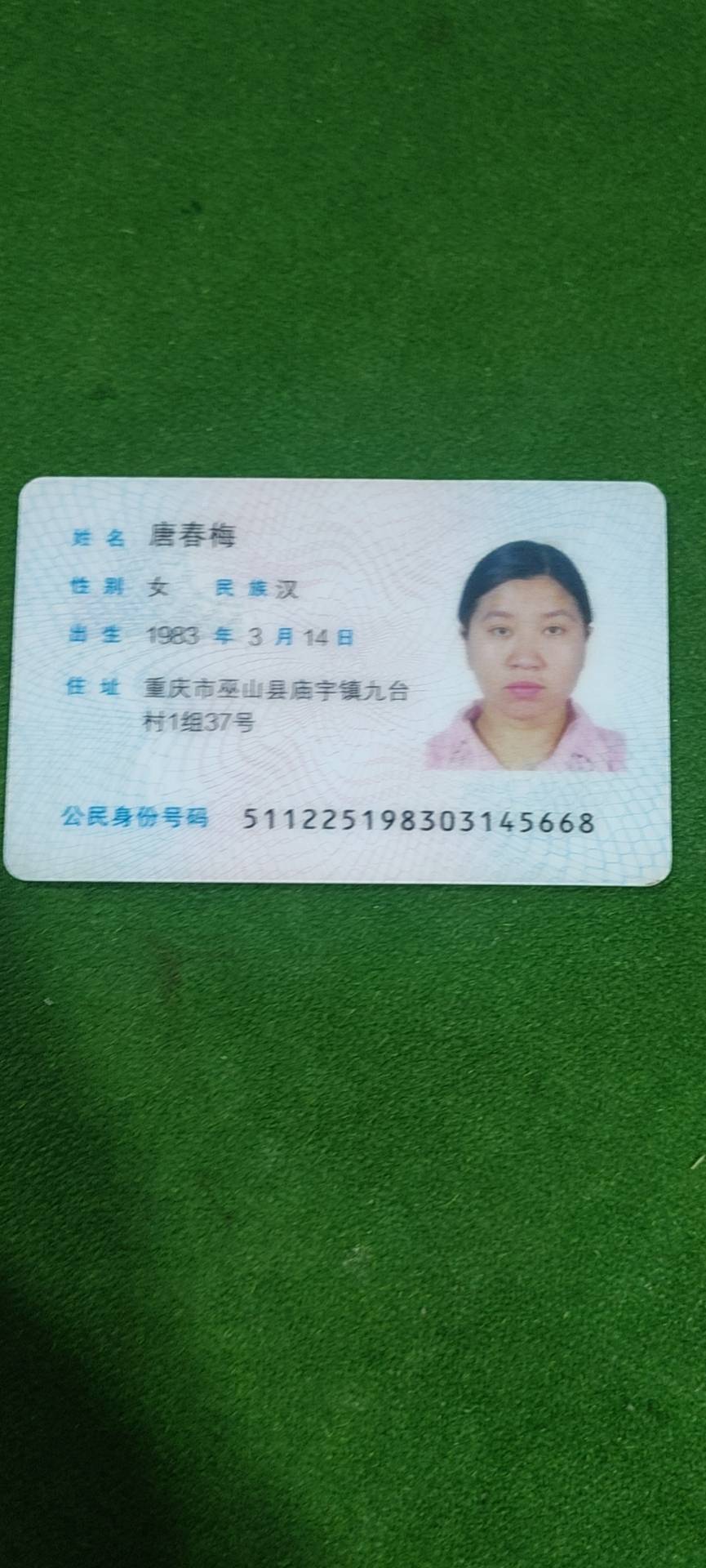 唐阿姨照片