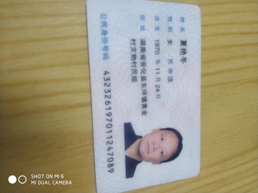 夏阿姨照片