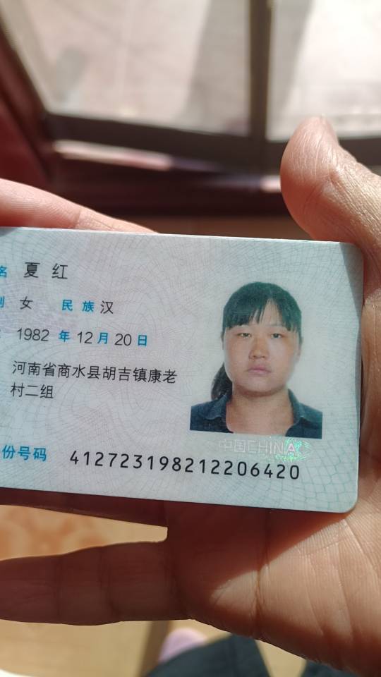 夏阿姨照片