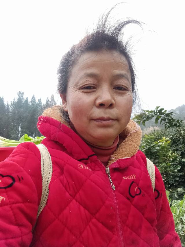 覃阿姨照片