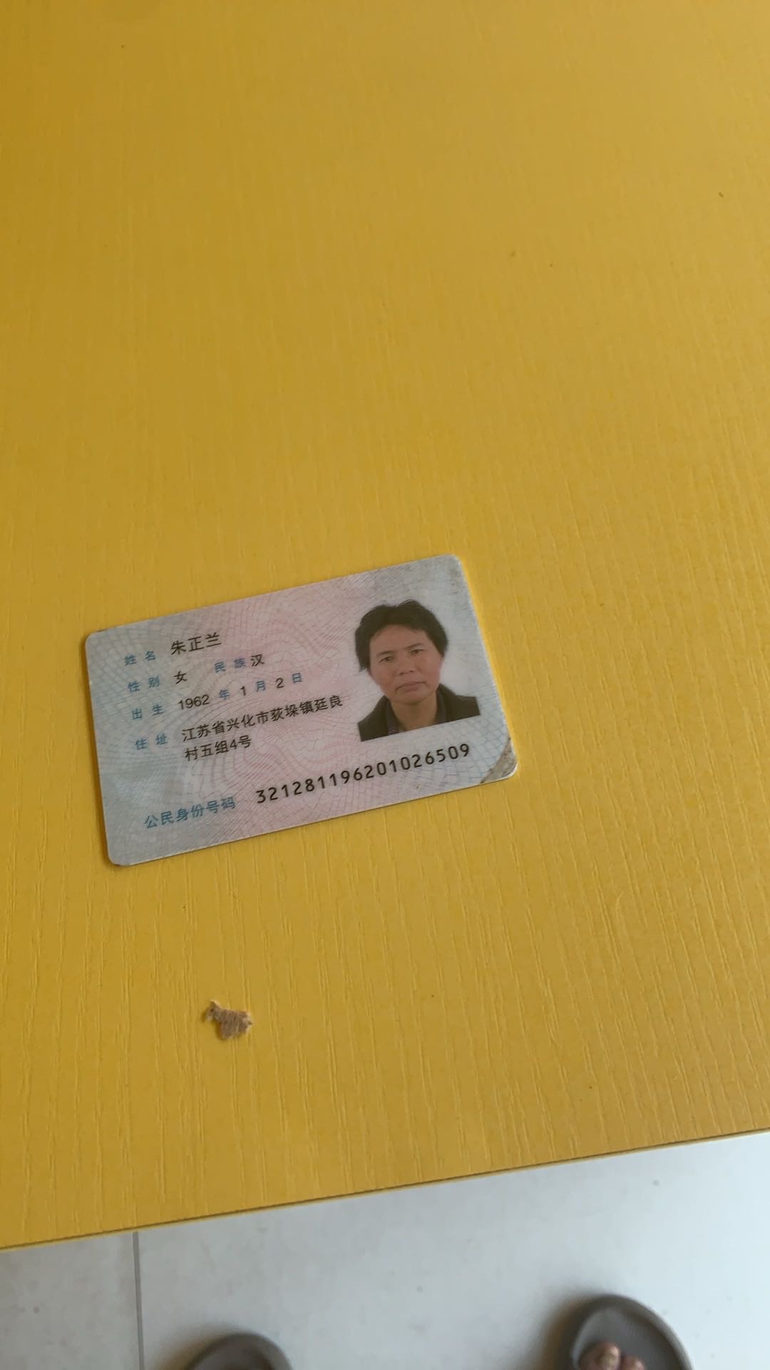 朱阿姨照片