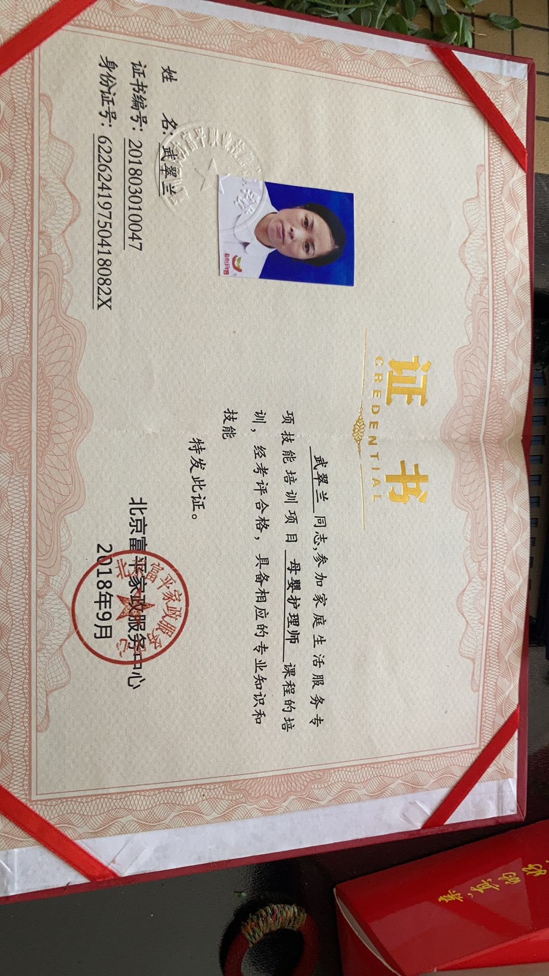 武阿姨照片
