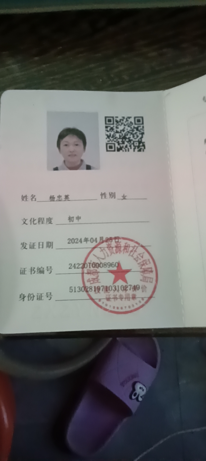杨阿姨照片