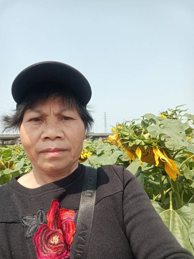 谭阿姨照片