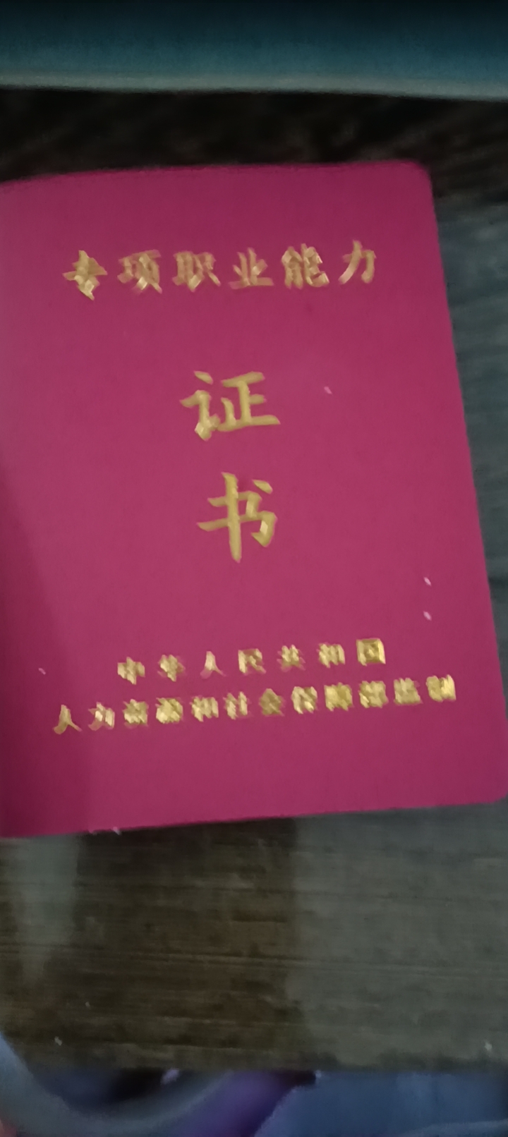 杨阿姨照片