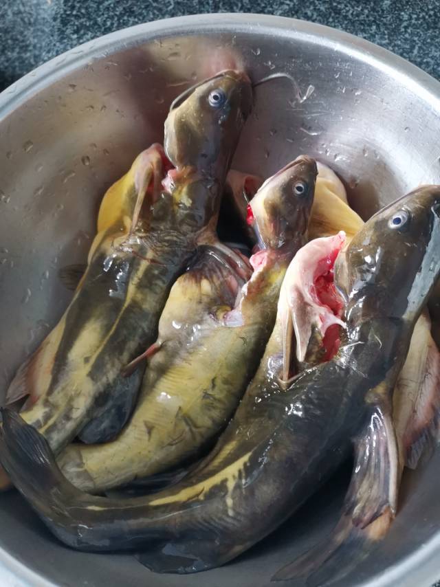 叶阿姨照片