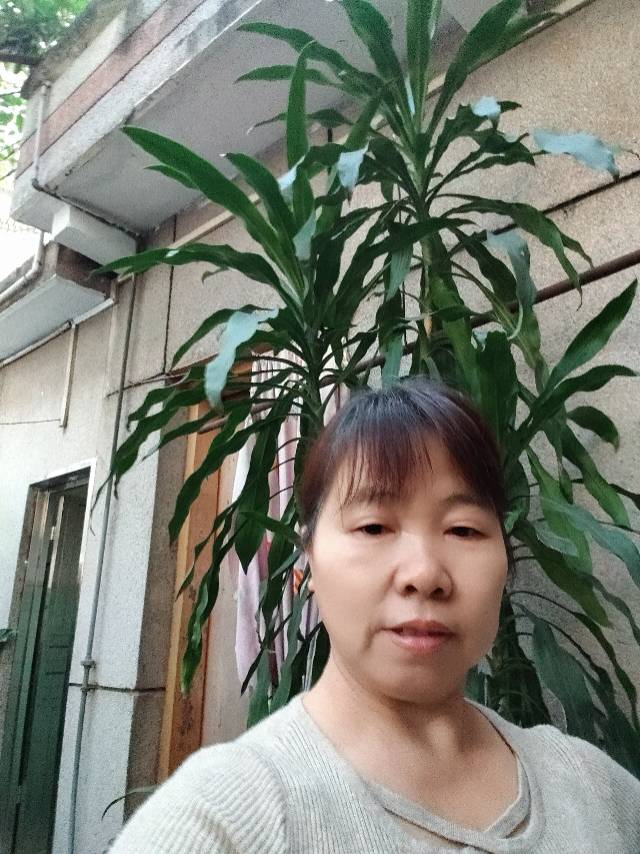 罗阿姨照片