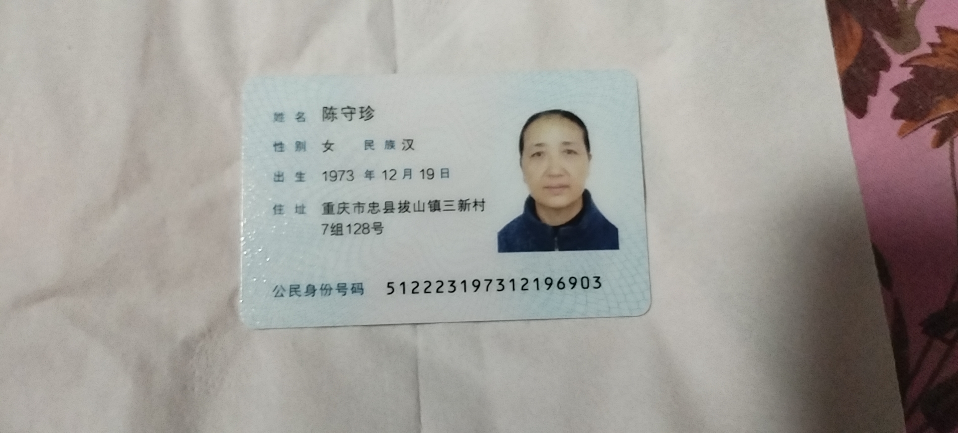 陈阿姨照片