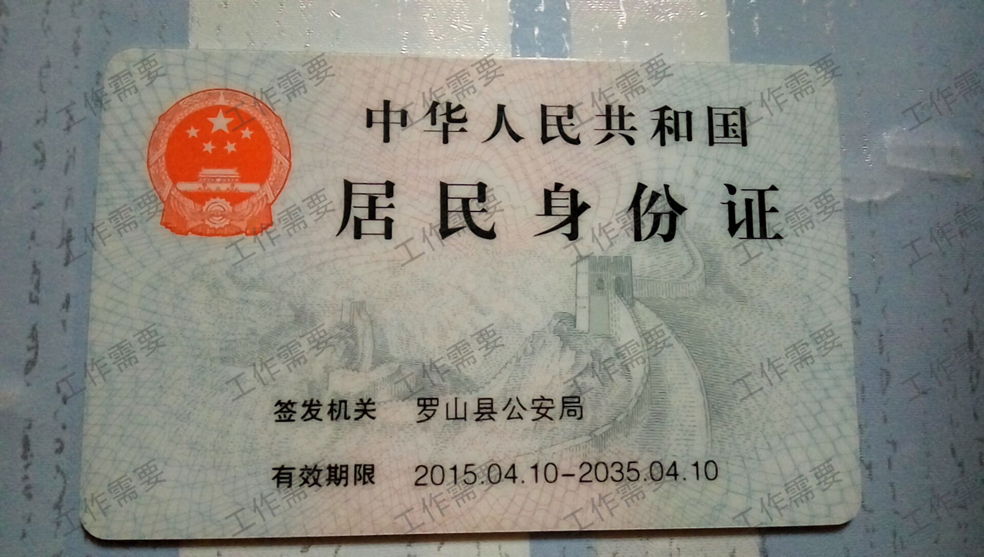 宋阿姨照片