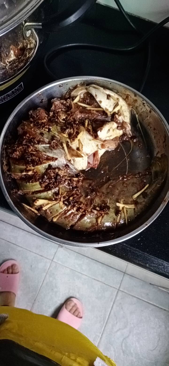 邹阿姨照片