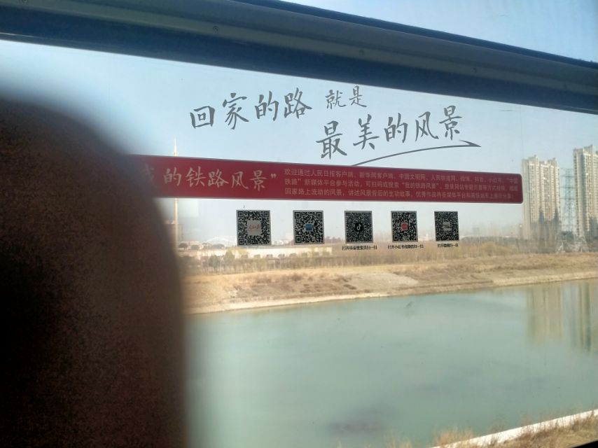 薛阿姨照片