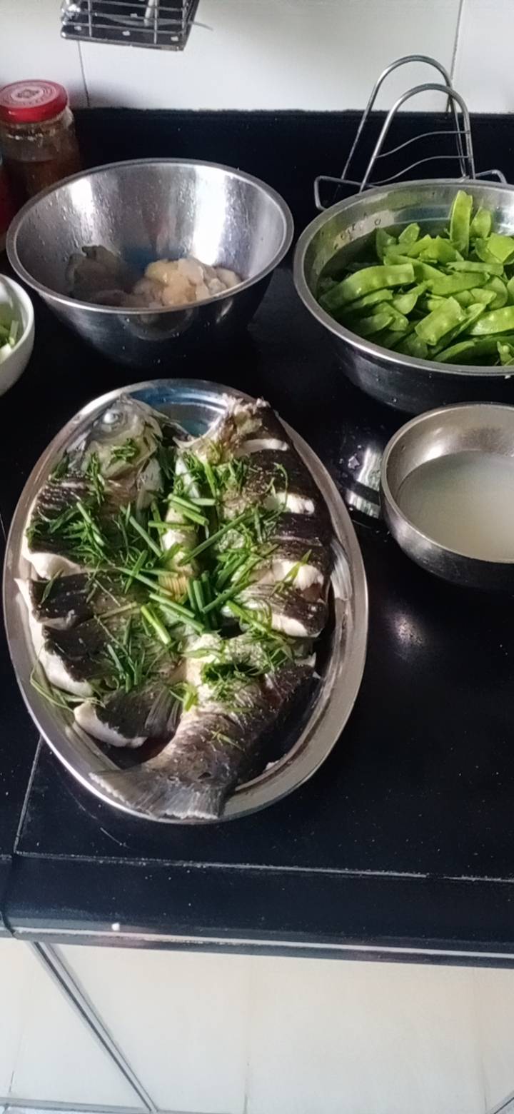邹阿姨照片