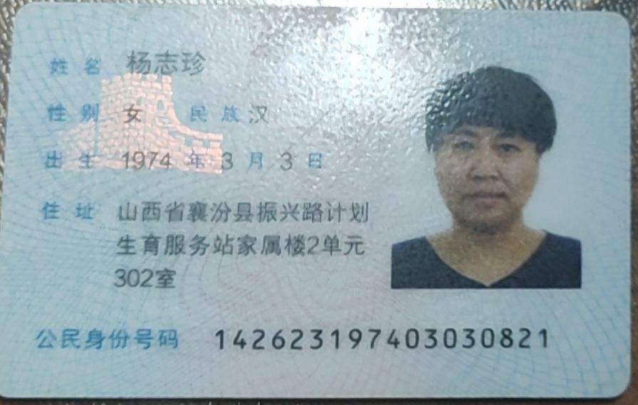 杨阿姨照片