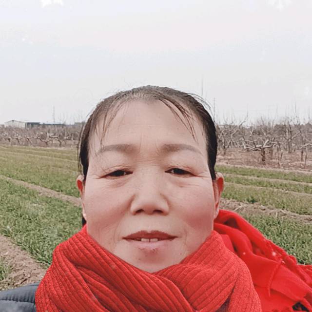 惠护工照片
