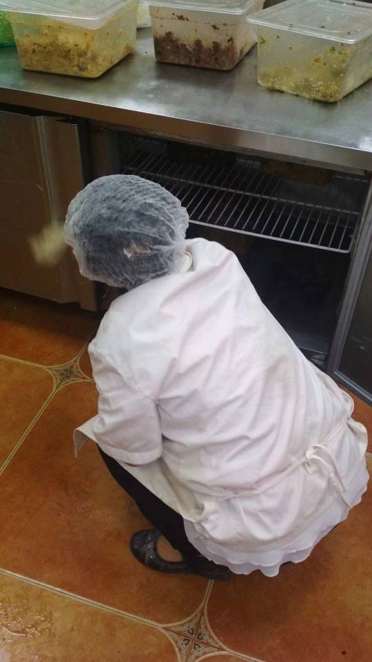 陈阿姨照片