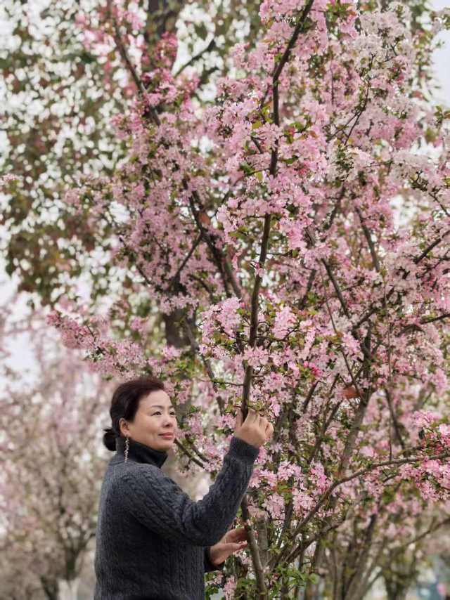 付阿姨照片