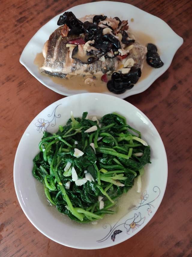 彭阿姨照片