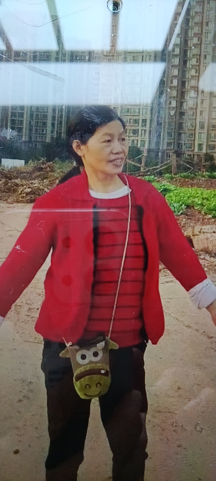 曾阿姨照片