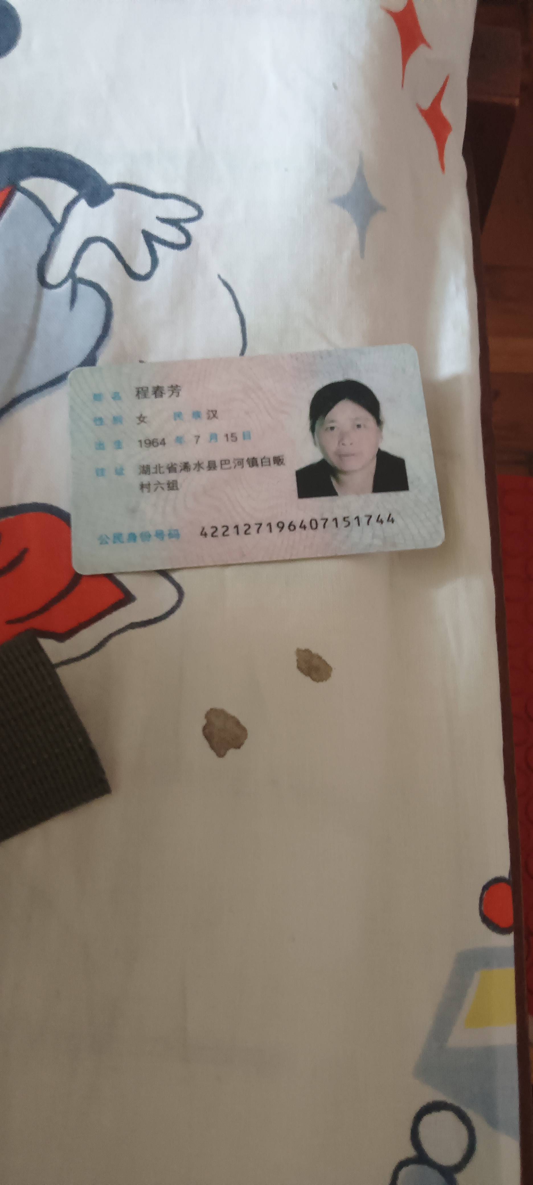 程阿姨照片