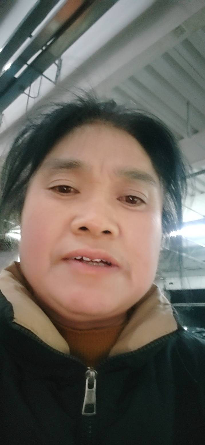 阿姨资料照片