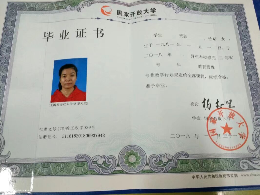 贺阿姨照片