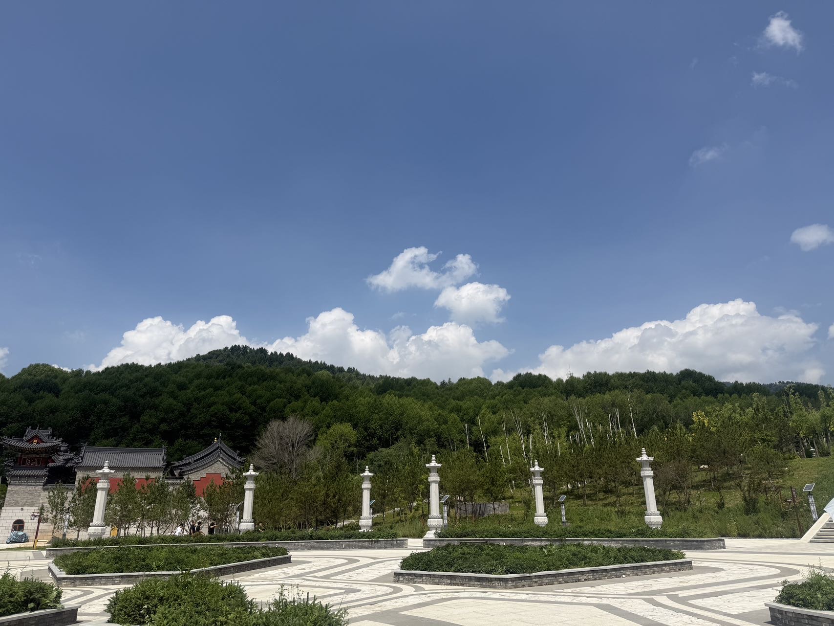 李阿姨照片