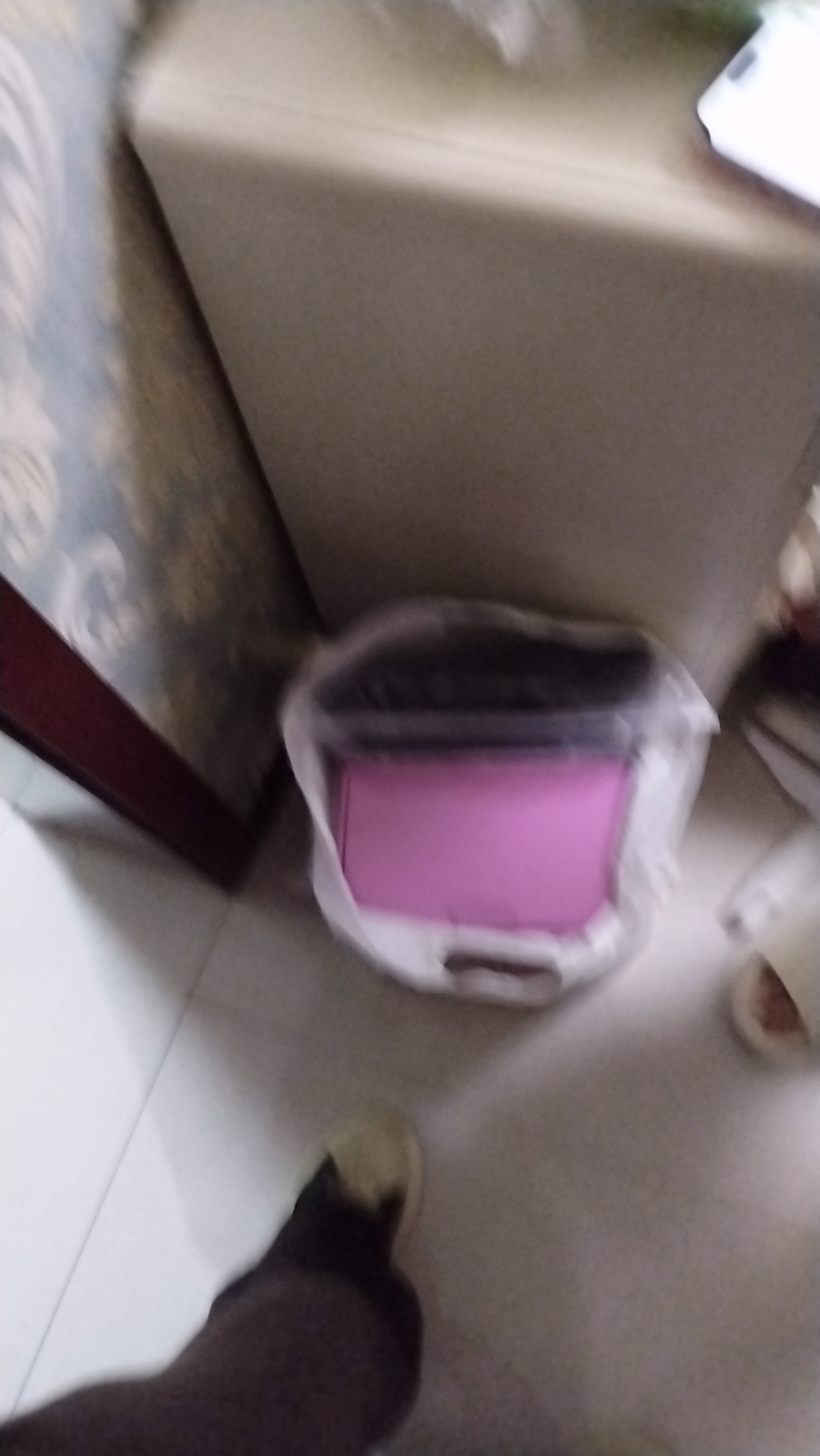 会阿姨照片