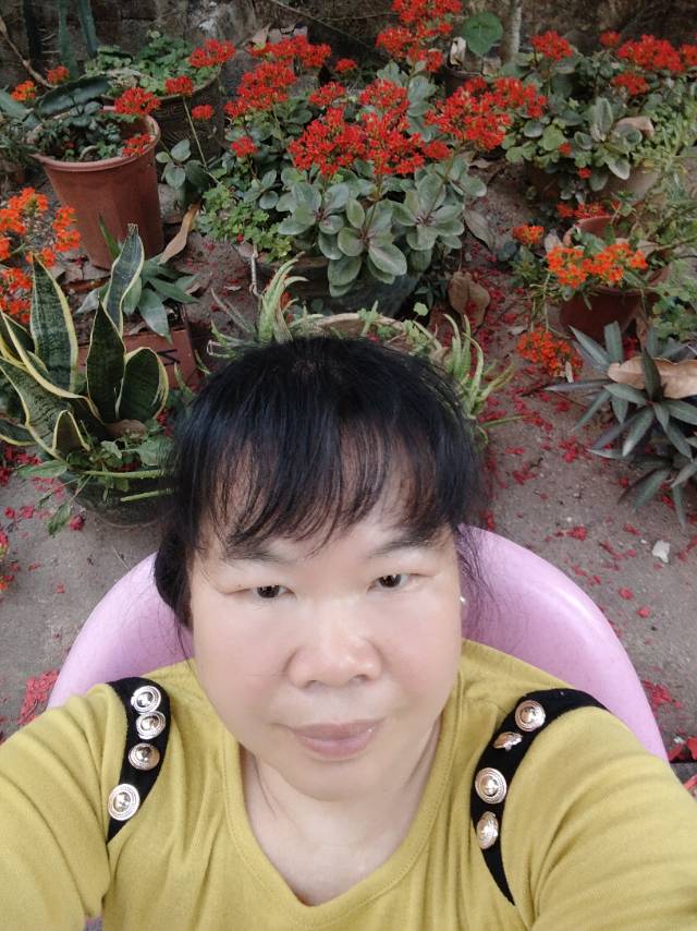 潘阿姨照片
