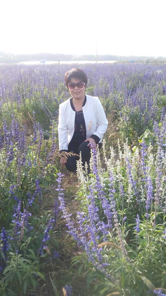 李阿姨照片