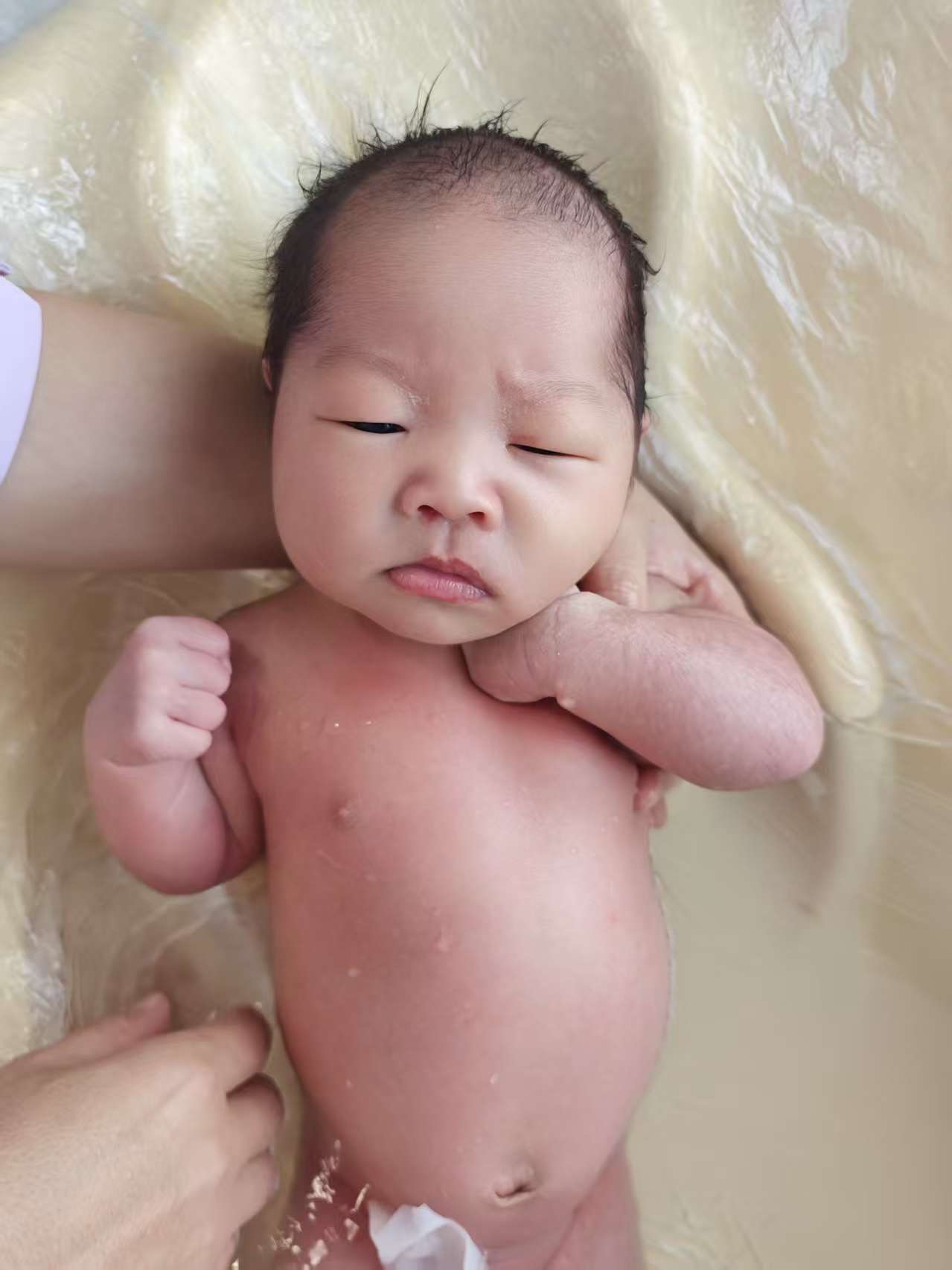 陈阿姨照片