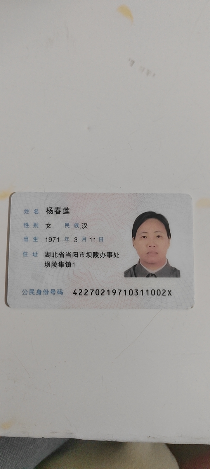 杨阿姨照片
