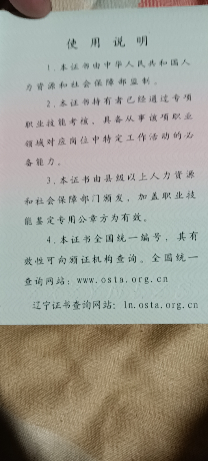 王阿姨照片