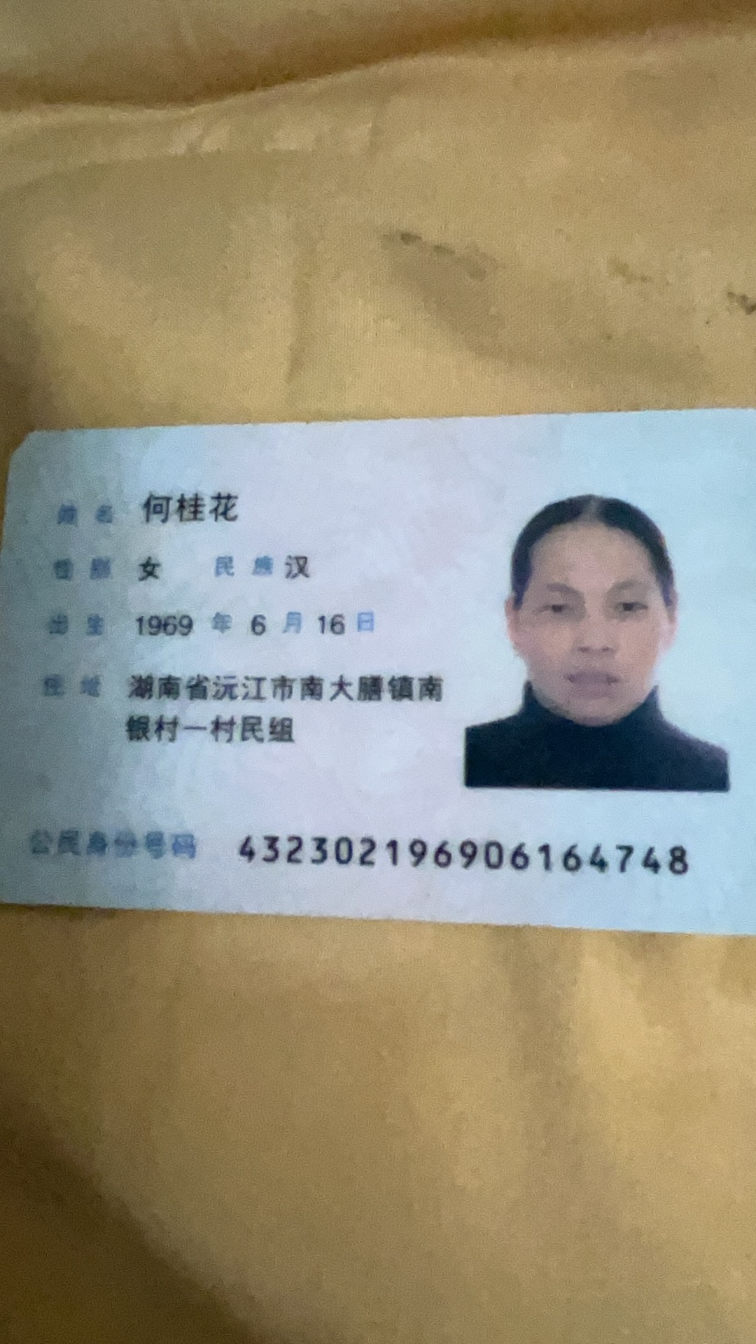 何阿姨照片