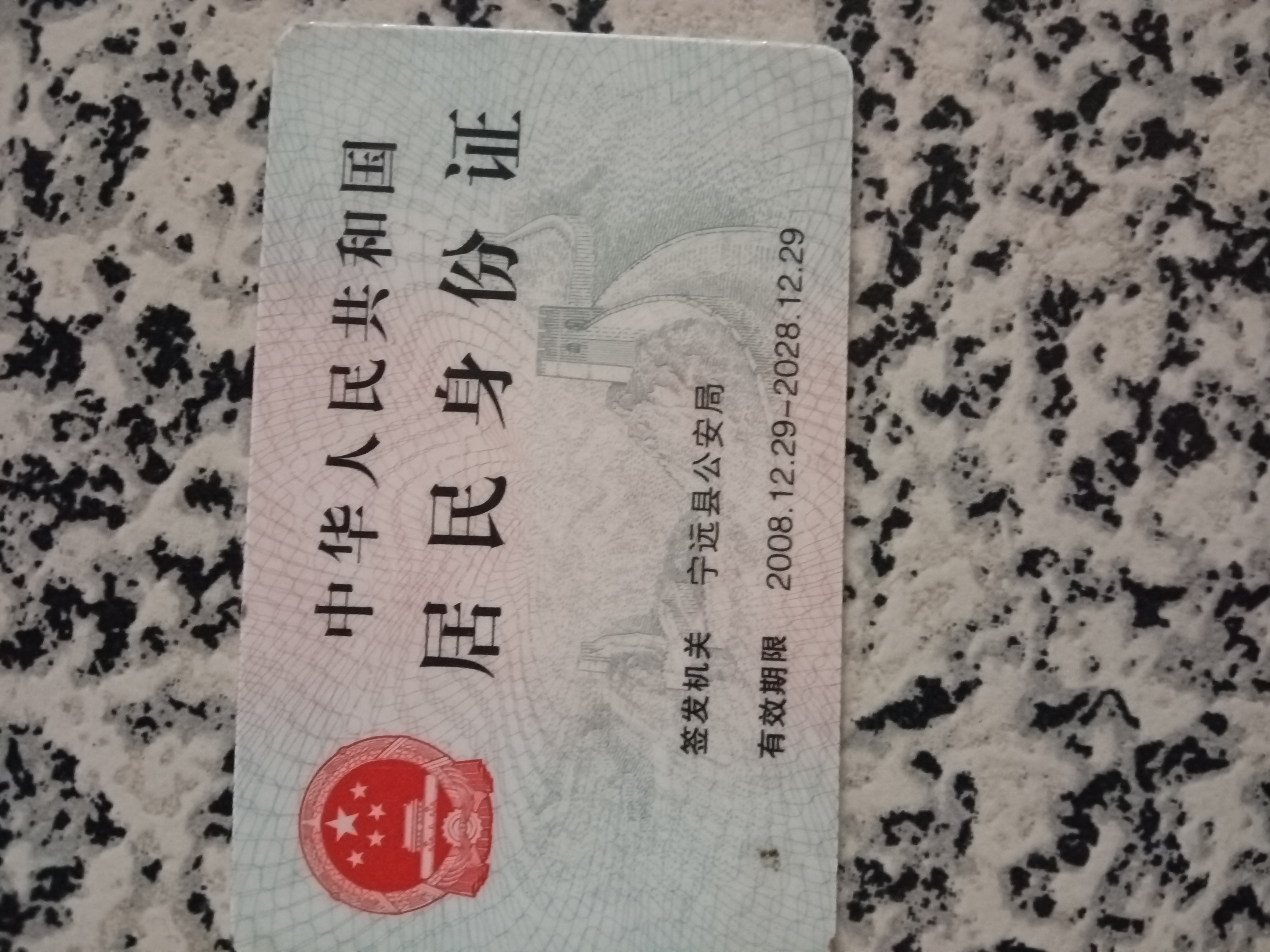 夏阿姨照片