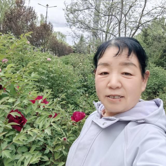 阿姨资料照片