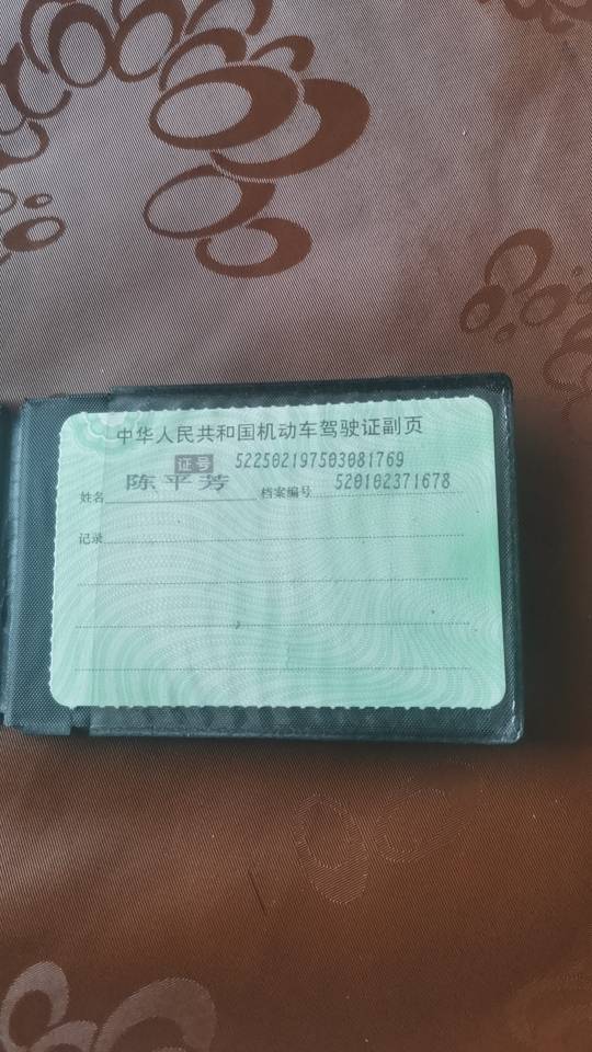 陈阿姨照片